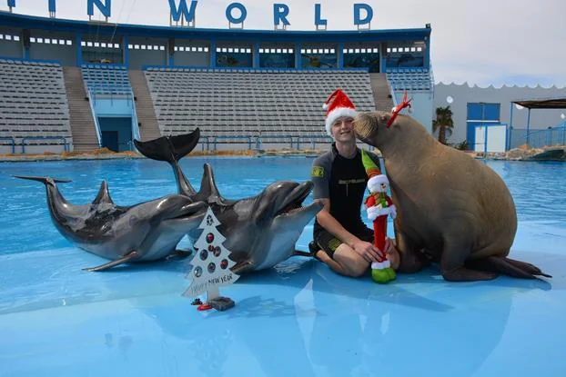 Dolphin Show  Dolphin World 